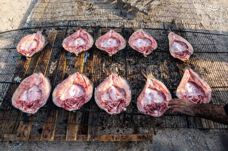 تصاویری از مهمان نوازی ویژه عراقیها از زوار حسینی