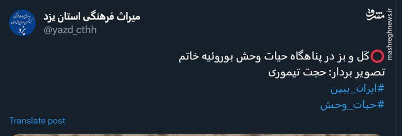 گشت و گذار کَل و بزها در پناهگاه بوروئیه + فیلم