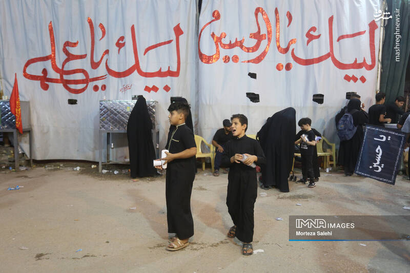 عکس/ پیادهروی شبانه در مسیر نجف به کربلا