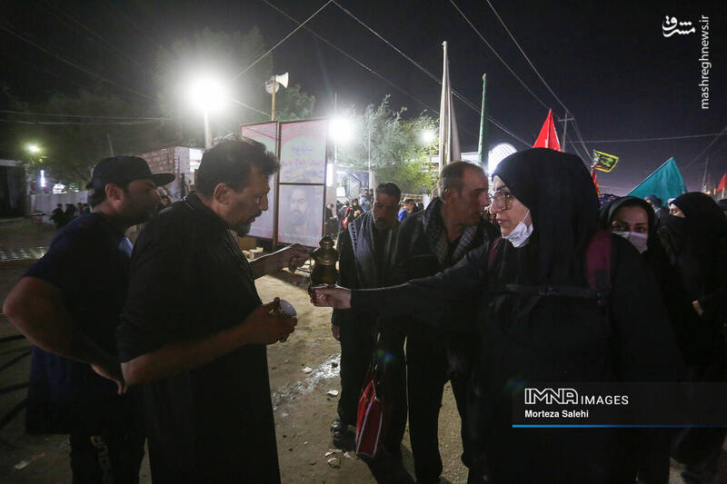 عکس/ پیادهروی شبانه در مسیر نجف به کربلا