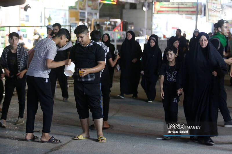 عکس/ پیادهروی شبانه در مسیر نجف به کربلا