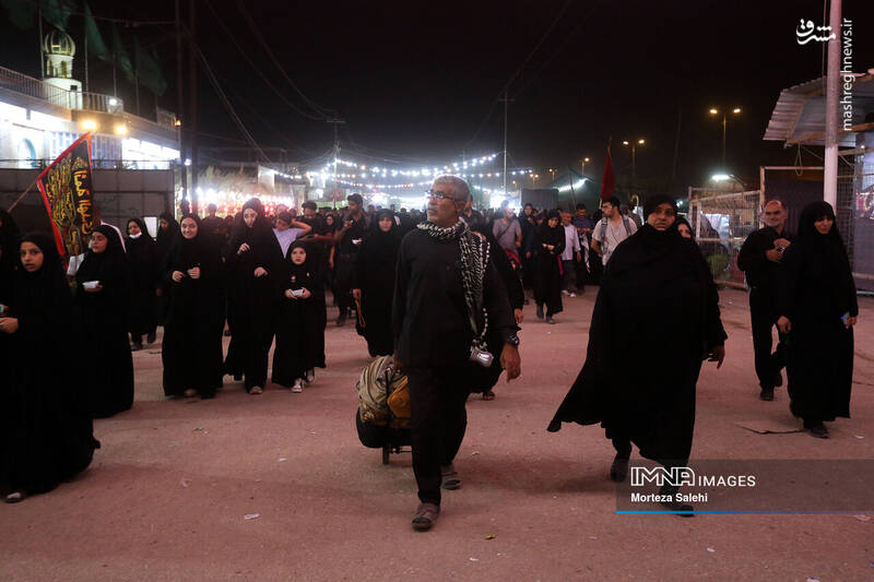 عکس/ پیادهروی شبانه در مسیر نجف به کربلا
