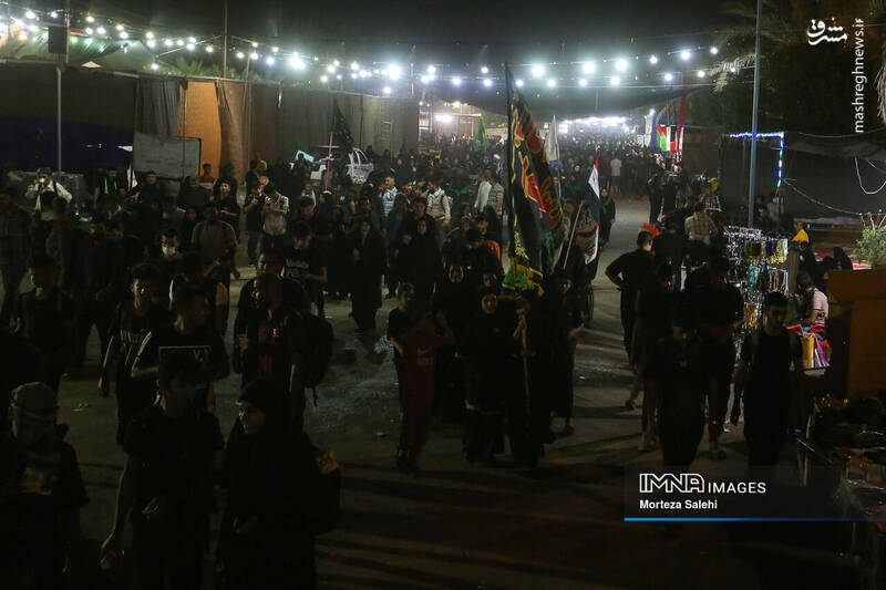 عکس/ پیادهروی شبانه در مسیر نجف به کربلا