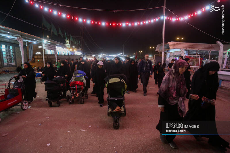 عکس/ پیادهروی شبانه در مسیر نجف به کربلا
