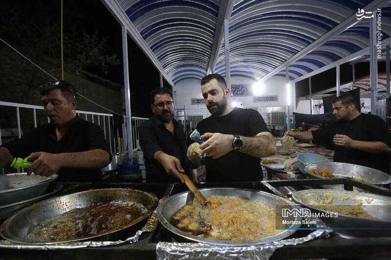 عکس/ پیادهروی شبانه در مسیر نجف به کربلا