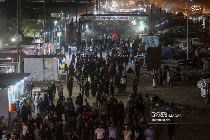 عکس/ پیادهروی شبانه در مسیر نجف به کربلا