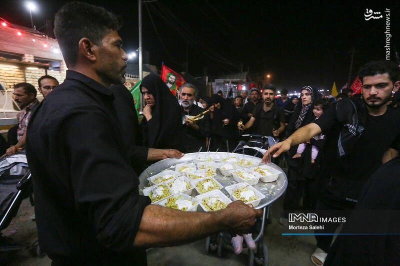 عکس/ پیادهروی شبانه در مسیر نجف به کربلا