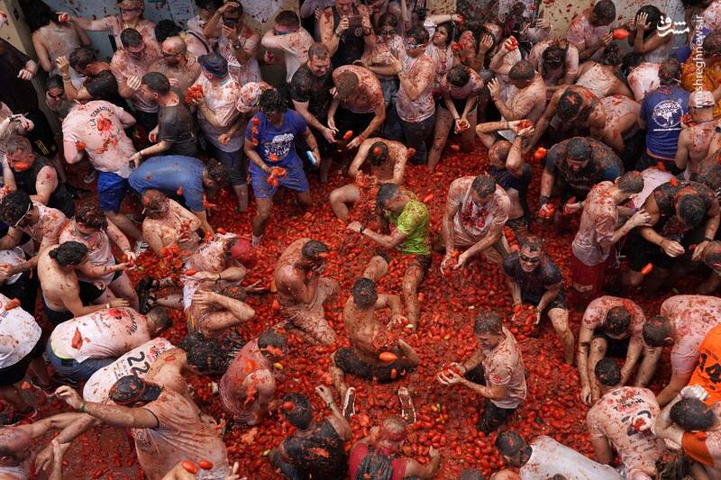 فستیوال پرتاب گوجه فرنگی در بونول _ اسپانیا