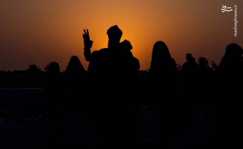 نمایی دیگر از زیباییهای پیاده روی اربعین