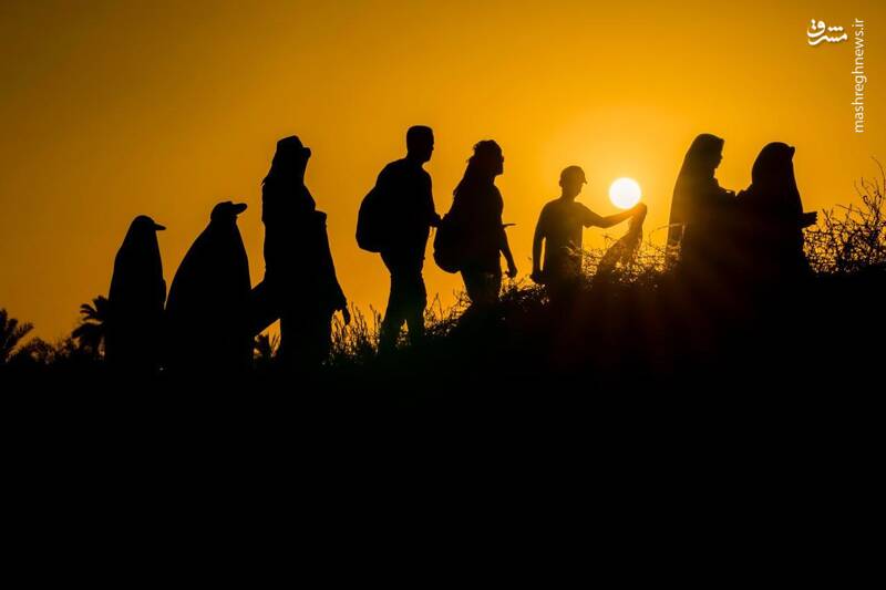 نمایی دیگر از زیباییهای پیاده روی اربعین