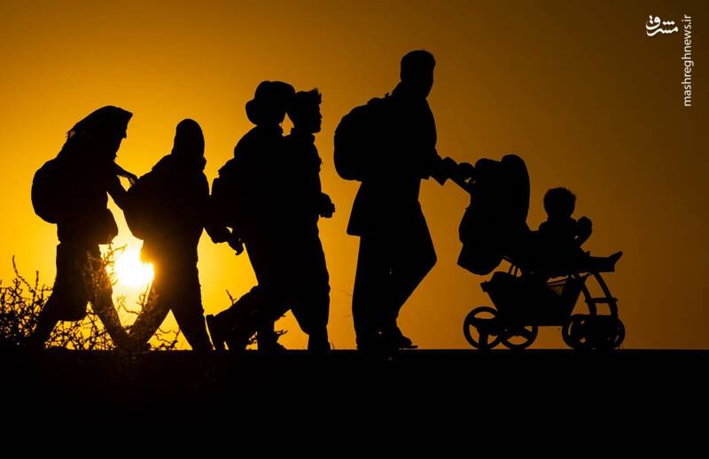 نمایی دیگر از زیباییهای پیاده روی اربعین