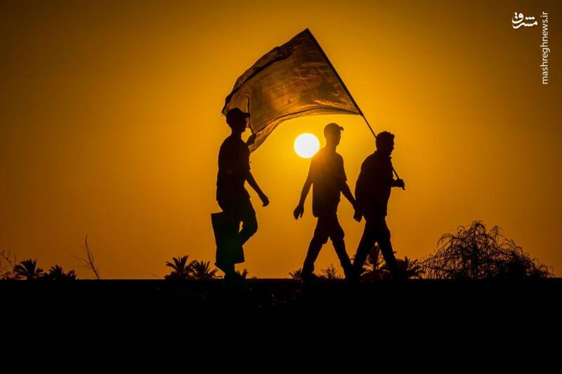 نمایی دیگر از زیباییهای پیاده روی اربعین