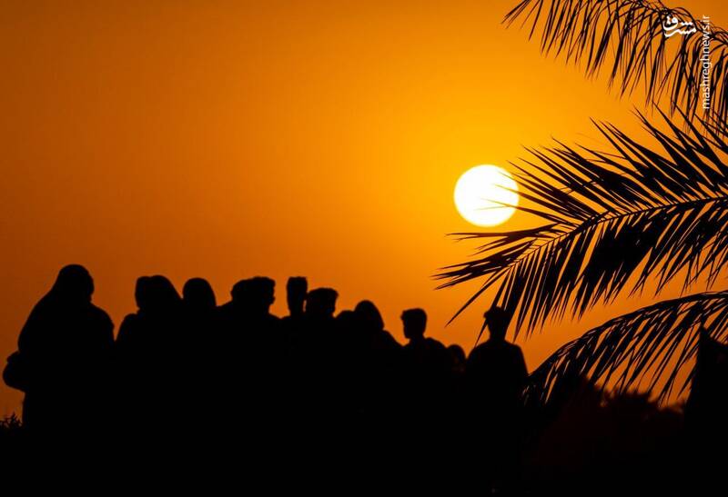 نمایی دیگر از زیباییهای پیاده روی اربعین