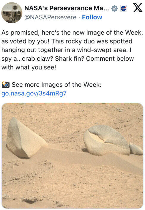 دیده شدن کوسه در مریخ!/ عکس