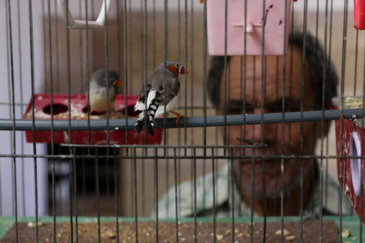 قانون حمایت از بیماران مبتلا به اختلالات روان به کجا ختم شد؟