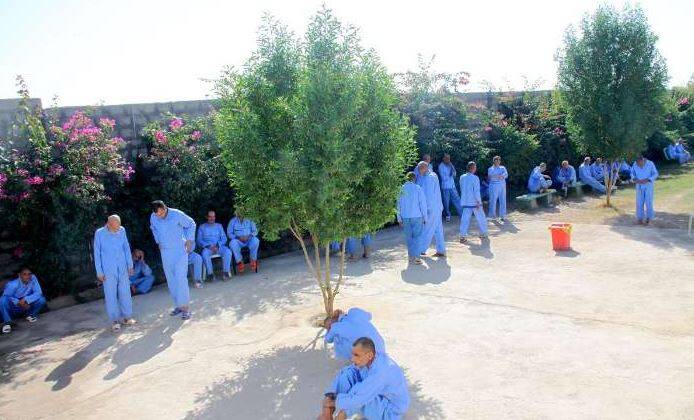 قانون حمایت از بیماران مبتلا به اختلالات روان به کجا ختم شد؟