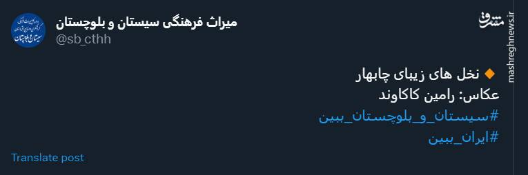 تصویری زیبا از نخلهای چابهار