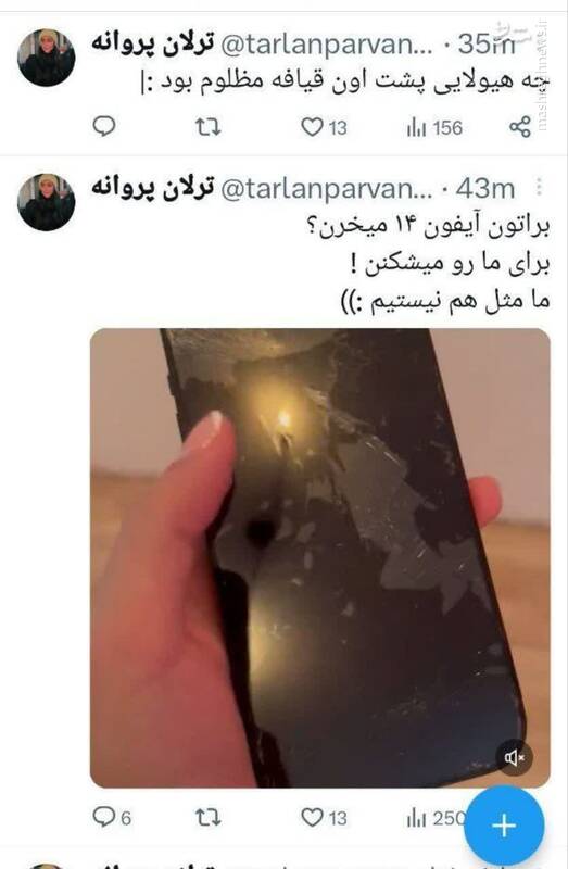 شروین حاجیپور متهم به تعرض به ترلان پروانه شد!