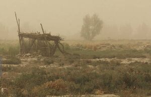 میانکاله غرق در گرد و خاک
