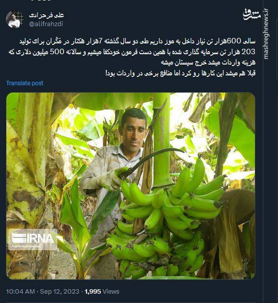 حکایت محصولی که میشود در آن خودکفا شد!