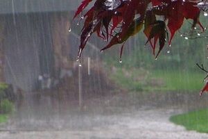 بارش شدید باران در گیلان