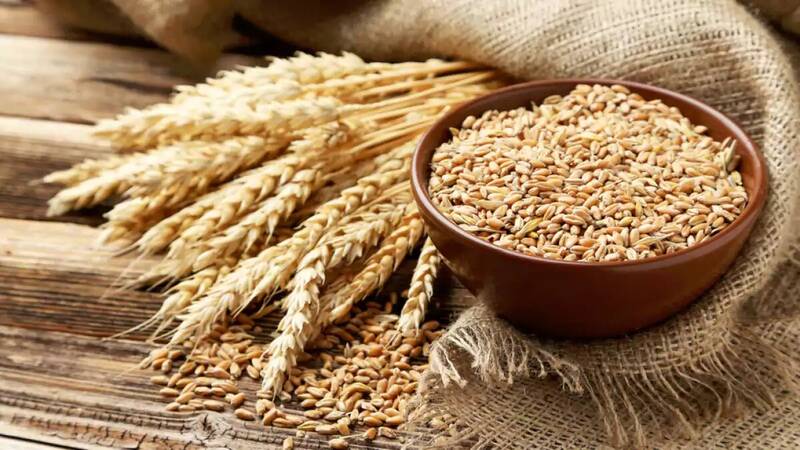 قیمت خرید تضمینی گندم تعیین شد قیمت خرید تضمینی گندم تعیین شد