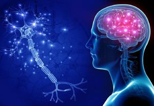 رمز و راز جوانی مغز چیست؟