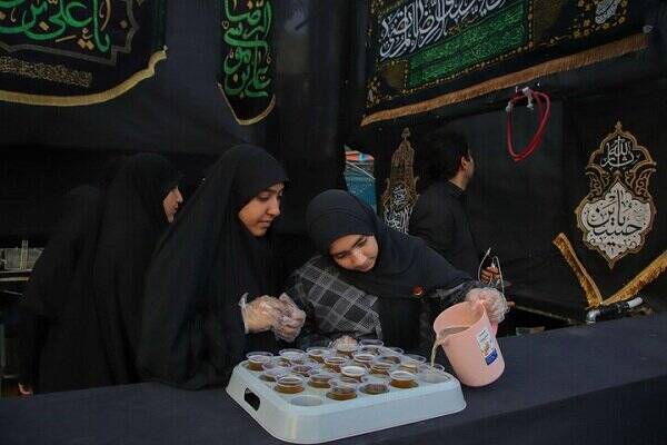 پایتخت معنوی ایران غرق ماتم و عزا / باز هوای حرمت آرزوست + عکس و فیلم 7