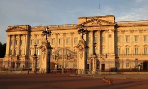 پلیس لندن از بازداشت یک فرد مهاجم به کاخ سلطنتی باکینگهام خبر داد