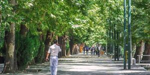 شکست فراخوانها و آرامش خیابانهای تهران