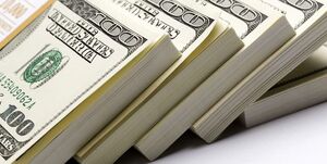 مأمور پلیس امانتدار 3900 دلار را به صاحبش بازگرداند