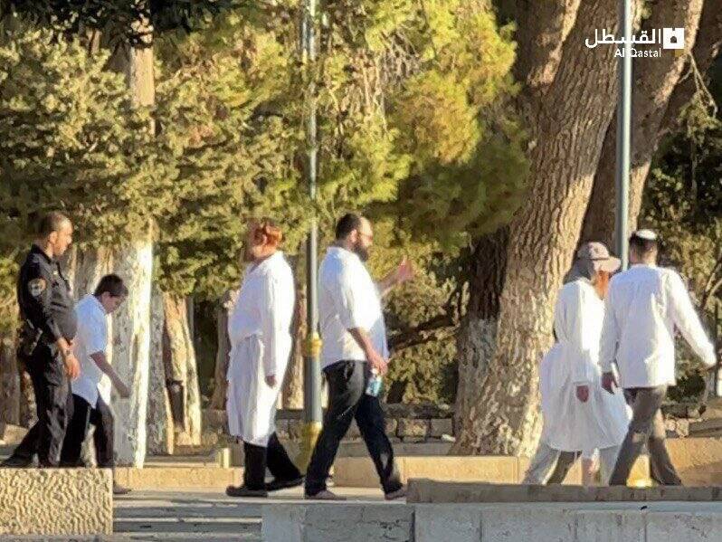 تعرض تحریکآمیز دهها شهرکنشین صهیونیست به مسجد الاقصی+ فیلم