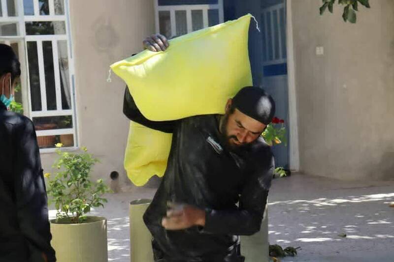 طلبه شیرازی که در اغتشاشات سال گذشته شهید شد که بود؟+ عکس