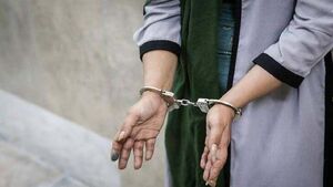 دستگیری رابط کانالهای معاند در شاهین شهر و عامل تشویش اذهان عمومی در فلاورجان