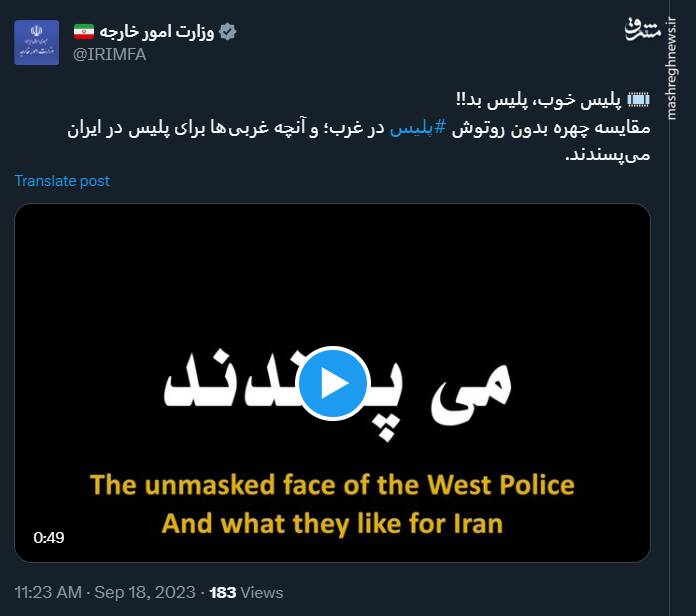 چهره بدون روتوش پلیس در غرب +فیلم