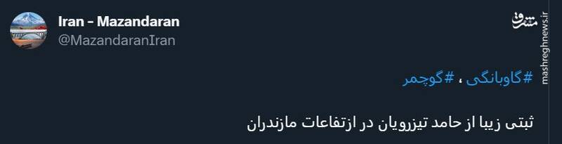 گاوبانگی مَرال ها در ارتفاعات مازندران +عکس