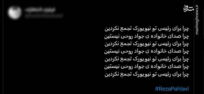 اتوبوس هوس در نیویورک مسافر نداشت! +عکس و فیلم