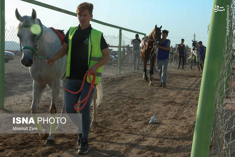 عکس / هفته اول کورس پاییزه اسب دوانی در یزد 3