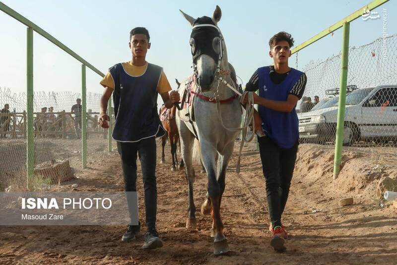 عکس / هفته اول کورس پاییزه اسب دوانی در یزد 4