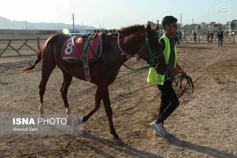 عکس / هفته اول کورس پاییزه اسب دوانی در یزد 2