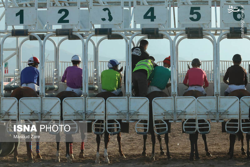 عکس / هفته اول کورس پاییزه اسب دوانی در یزد 5