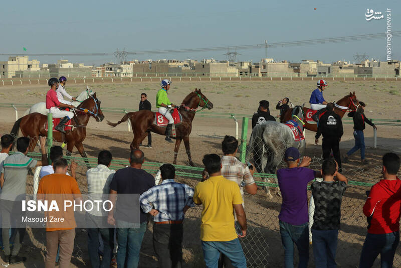 عکس / هفته اول کورس پاییزه اسب دوانی در یزد 16