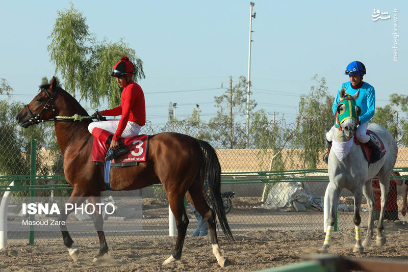عکس / هفته اول کورس پاییزه اسب دوانی در یزد 15