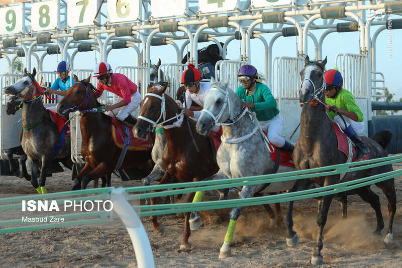 عکس / هفته اول کورس پاییزه اسب دوانی در یزد 9