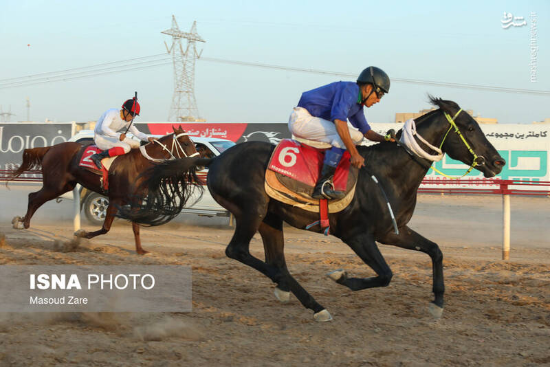 عکس / هفته اول کورس پاییزه اسب دوانی در یزد 13