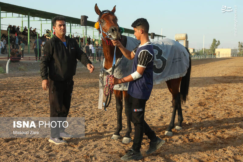 عکس / هفته اول کورس پاییزه اسب دوانی در یزد 7