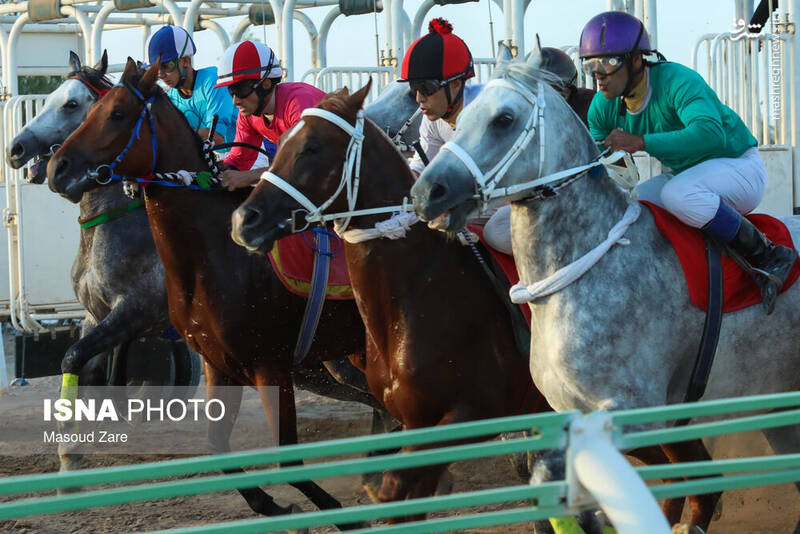 عکس / هفته اول کورس پاییزه اسب دوانی در یزد 10