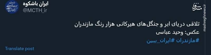 تلاقی دریای ابر و جنگلهای هیرکانی هزار رنگ +عکس