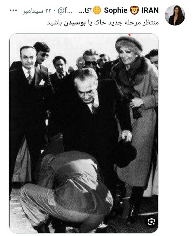 جنجال بوسیدن دست یاسمین پهلوی+