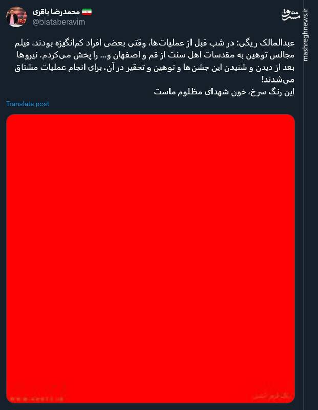 این رنگ سرخ، خون شهدای مظلوم ماست